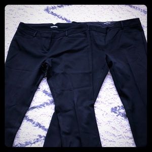 Express Columist Black pant size 8r